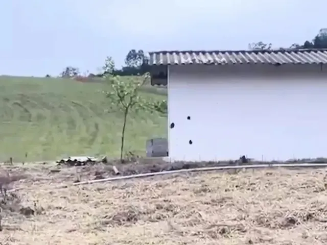 Imagem 8: He Terrenão 826M² com Casa e Nascente!
