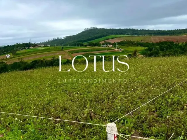 Imagem: Compre Seu Lote em Cotia com Fácil Acesso