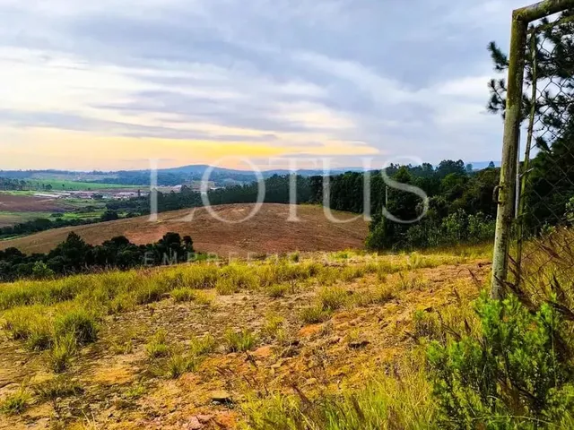 Imagem 13: Compre Seu Lote em Cotia com Fácil Acesso