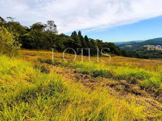 Imagem 6: Compre Seu Lote em Cotia com Fácil Acesso