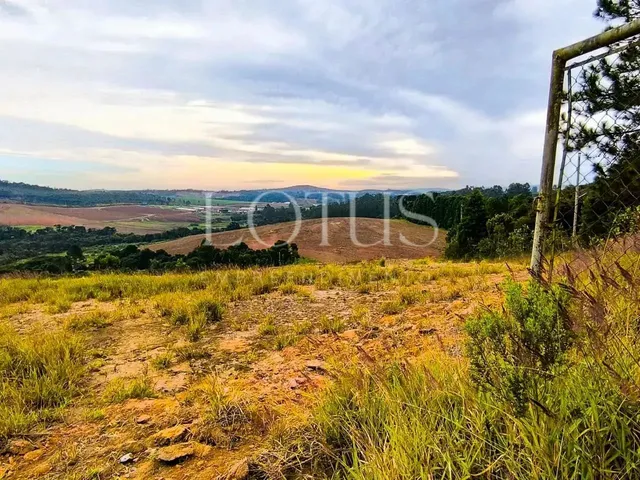 Imagem 10: Compre Seu Lote em Cotia com Fácil Acesso