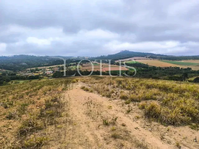 Imagem 14: Compre Seu Lote em Cotia com Fácil Acesso