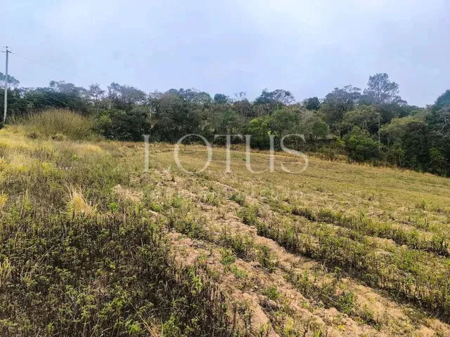 Imagem 16: Compre Seu Lote em Cotia com Fácil Acesso