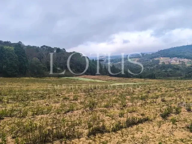 Imagem 9: Compre Seu Lote em Cotia com Fácil Acesso