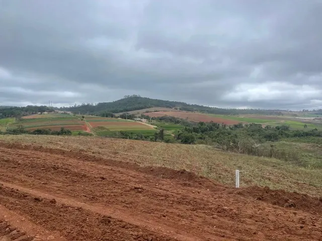 Imagem 4: Imóvel para Venda com 500 Metros Quadrados