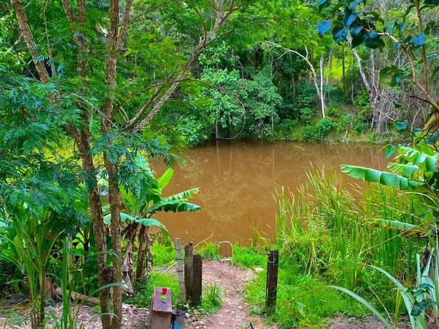 Imagem: Sítio Frutífero com Lagoa em Mogi das