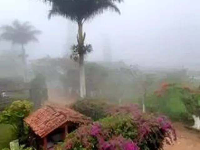 Imagem 5: .