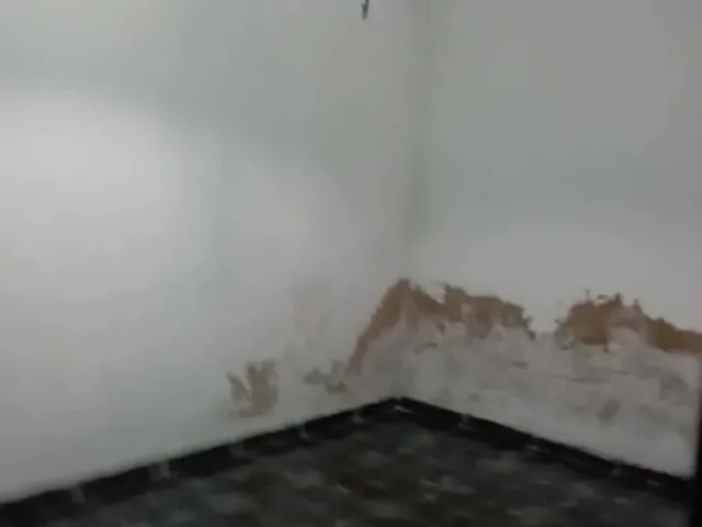 Imagem 7: Casa a Venda no Centro de Vila Velha