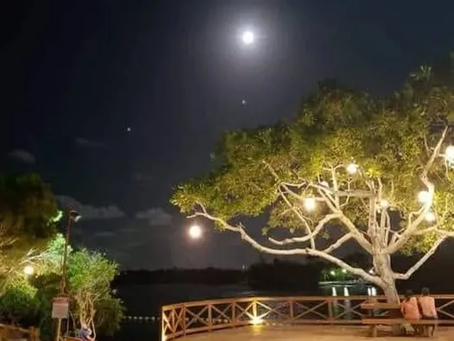 Imagem 3: Aluga Casa Temporada - Barra do Jacuípe