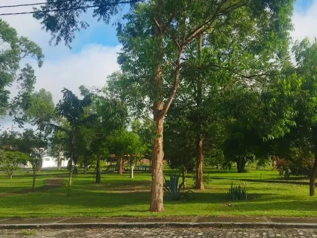 Imagem 5: Casa com 03 Quartos, Loteamento Fechado, Vila dos Eucaliptos, Rua do Catu