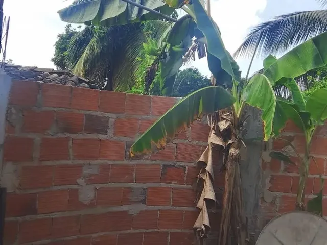 Imagem 9: Casa com Quintal com 10 Largura e 82 de Comprimento