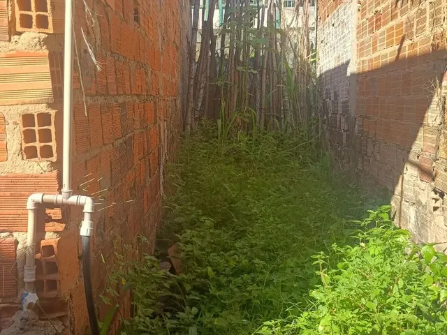 Imagem: Casa