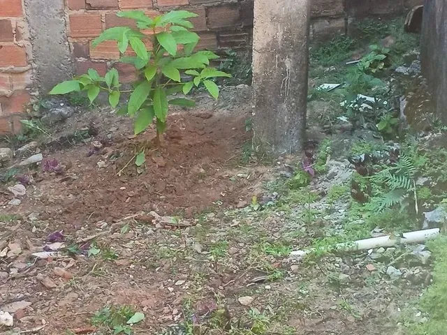 Imagem 2: Casa Casa com 2 dormitórios