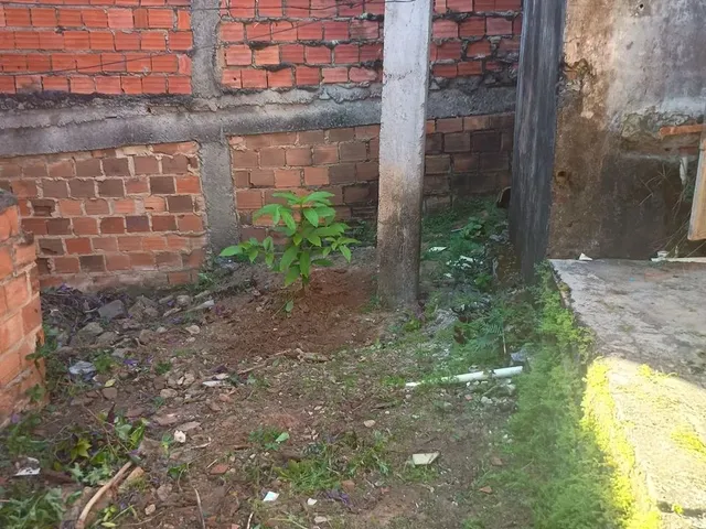 Imagem 8: Casa Casa com 2 dormitórios