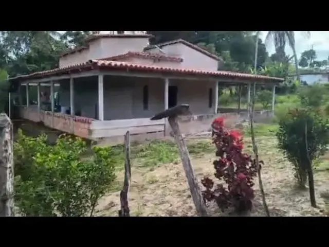 Imagem: Casa Grande com Sítio