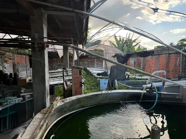 Imagem 4: Vendo Essa Mega Casa