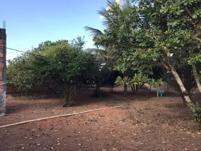 Imagem 8: Casa À Venda em Serrinha/Ba