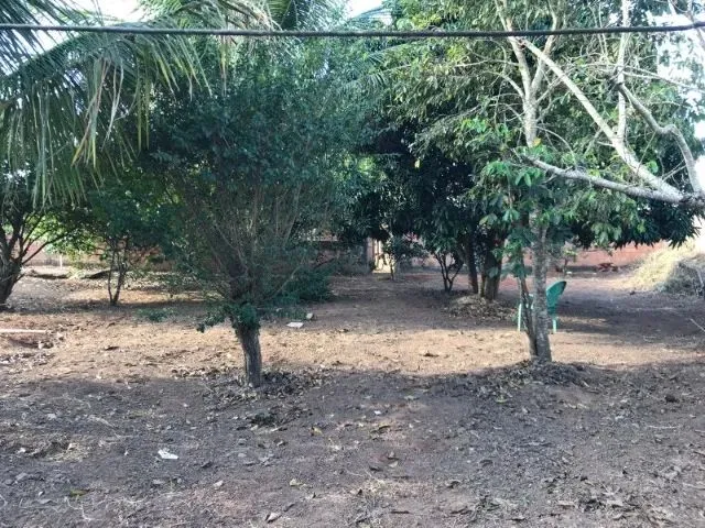 Imagem 9: Casa À Venda em Serrinha/Ba