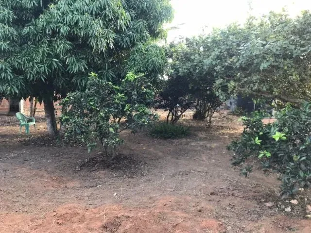 Imagem 15: Casa À Venda em Serrinha/Ba