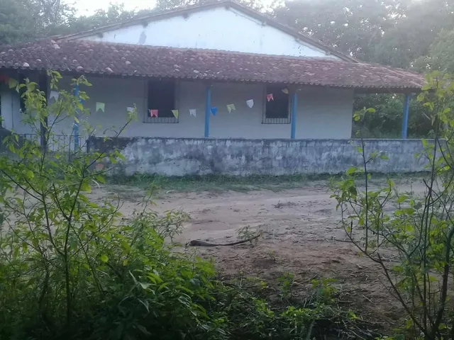 Imagem: Casa Grande com Terreno e Árvores Frutíferas