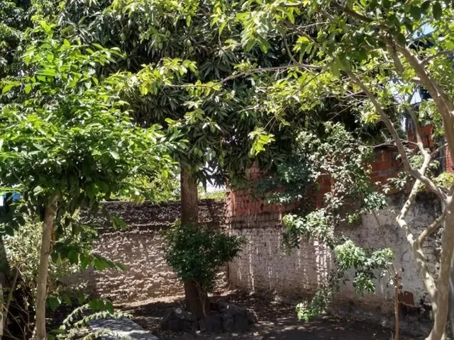 Imagem 15: Excelente Casa! Casa com 5 dormitórios