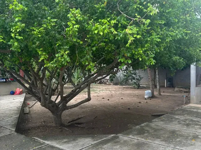 Imagem: Mini Sítio