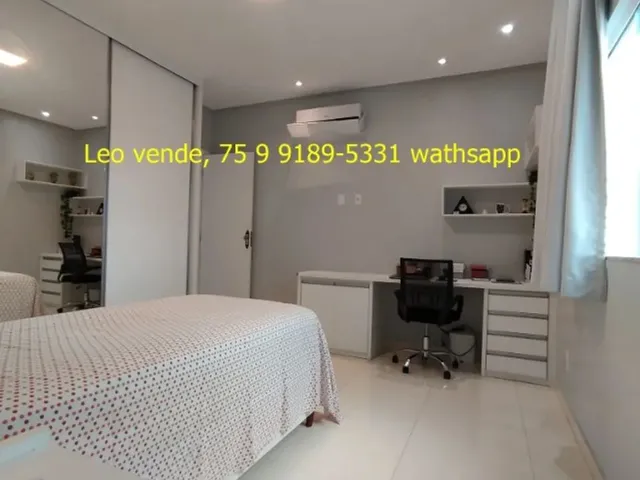 Imagem: Leo Vende, Papagaio, Amarilis, 4 4 Sendo