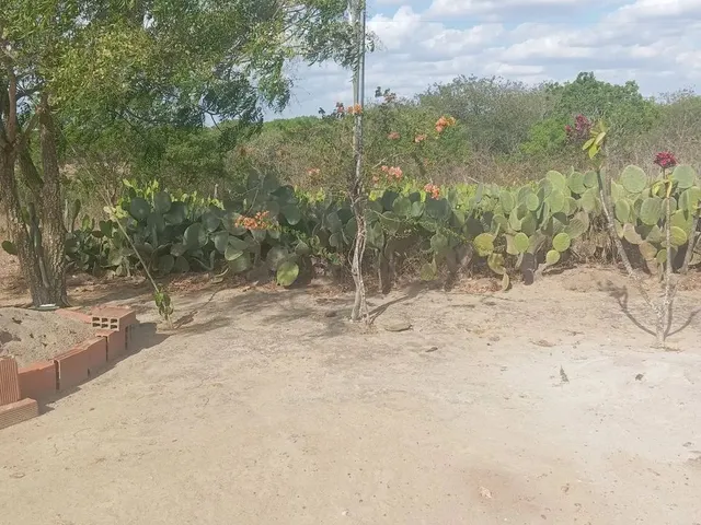 Imagem 10: Casa no Interior