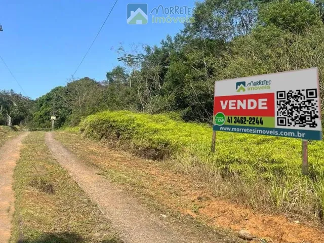 Imagem: Propriedade Rural toda documentada com 151.447m²