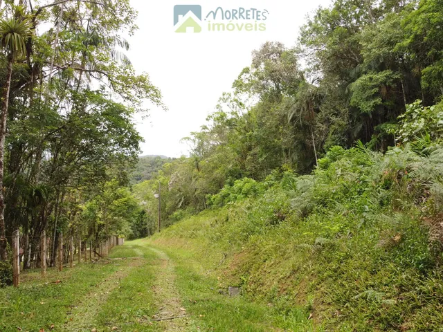 Imagem 12: Propriedade Rural toda documentada com 151.447m² (15,14ha) em Morretes no Paraná