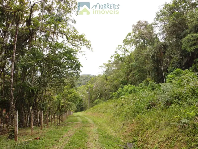 Imagem 13: Propriedade Rural toda documentada com 151.447m² (15,14ha) em Morretes no Paraná