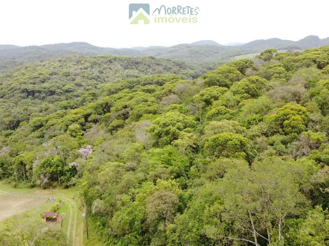 Imagem 10: Propriedade Rural toda documentada com 151.447m² (15,14ha) em Morretes no Paraná
