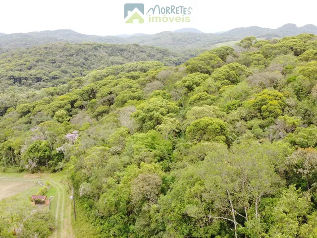 Imagem 6: Propriedade Rural toda documentada com 151.447m² (15,14ha) em Morretes no Paraná