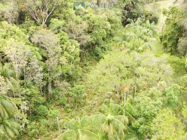 Imagem 3: Propriedade Rural toda documentada com 151.447m² (15,14ha) em Morretes no Paraná