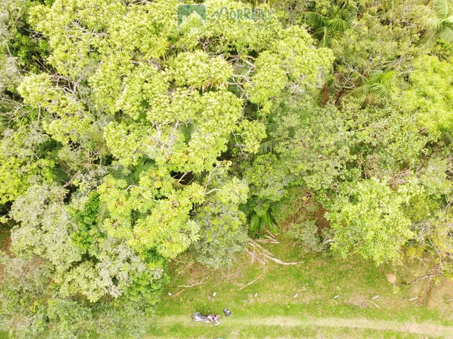 Imagem 14: Propriedade Rural toda documentada com 151.447m² (15,14ha) em Morretes no Paraná