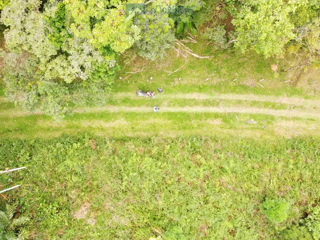 Imagem 4: Propriedade Rural toda documentada com 151.447m² (15,14ha) em Morretes no Paraná
