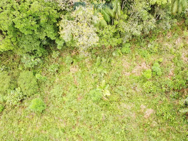 Imagem 11: Propriedade Rural toda documentada com 151.447m² (15,14ha) em Morretes no Paraná