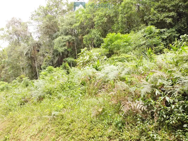 Imagem 16: Propriedade Rural toda documentada com 151.447m² (15,14ha) em Morretes no Paraná