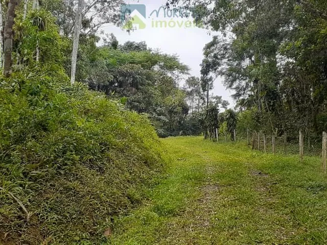 Imagem 9: Propriedade Rural toda documentada com 151.447m² (15,14ha) em Morretes no Paraná