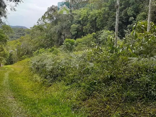 Imagem 2: Propriedade Rural toda documentada com 151.447m² (15,14ha) em Morretes no Paraná