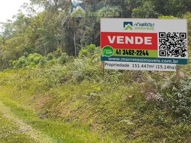 Imagem 8: Propriedade Rural toda documentada com 151.447m² (15,14ha) em Morretes no Paraná
