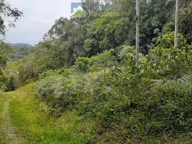 Imagem 5: Propriedade Rural toda documentada com 151.447m² (15,14ha) em Morretes no Paraná
