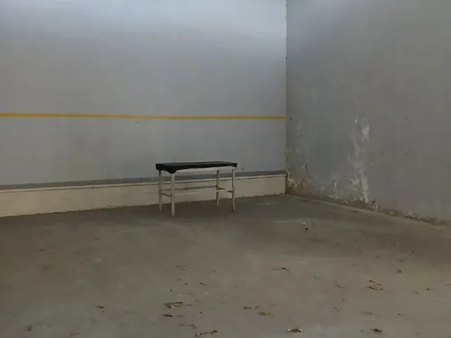 Imagem 5: Casa na Cel Lima Rocha na Pitanguinha