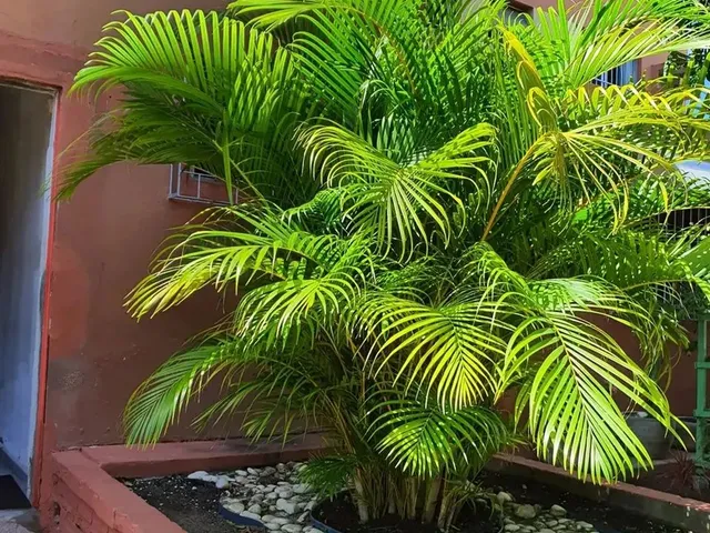Imagem 10: Imóvel para Aluguel com 2 Quartos em Jatiúca - Maceió - Al