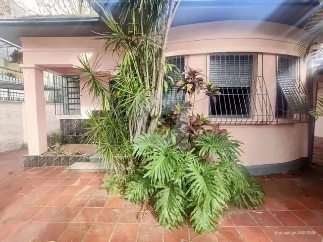 Imagem 1: Casa com 5 Dormitórios com 260 M² - Centro - São Leopoldo/Rs