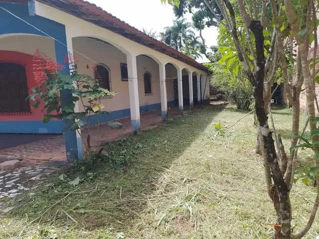 Imagem: Disponível para Natal e Ano Novo