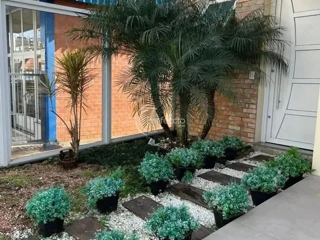 Imagem 6: Casas - 3 Dormitórios - Pio X