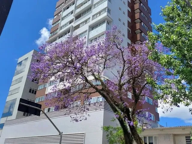 Imagem: Apartamento Novo na Cidade Alta