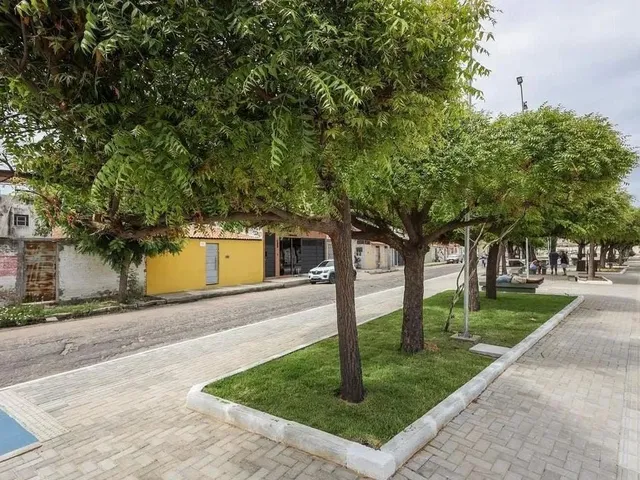 Imagem 11: .