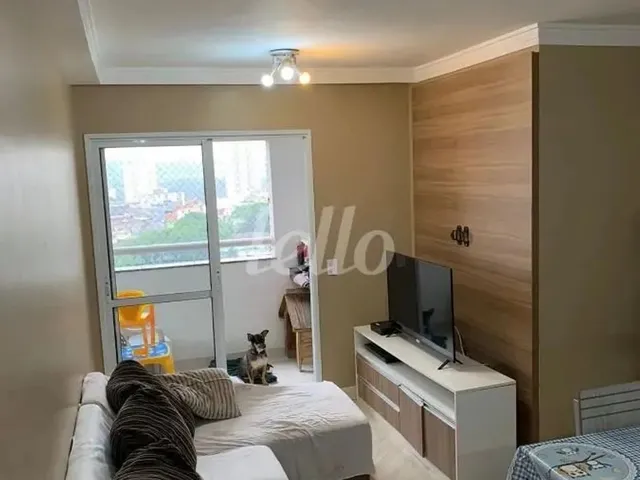 Imagem: Apartamento 3 Quartos À Venda No(A) Jardim